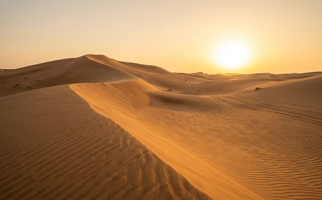 كثبان ذهبية تحت شمس المساء